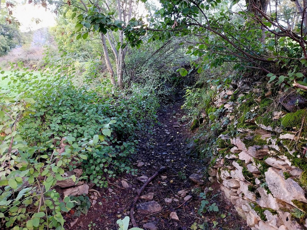carlosguardia10's tweet photo. Anàlisi geogràfica de la xarxa de camins tradicionals (xarxa veïnal i rural): extensió, estructura, patologies, gestió #camins #recerca #publicfootpaths #rightsofway #Pirineu #AltUrgell #VallsdeValira https://t.co/IjHqrTRFuf