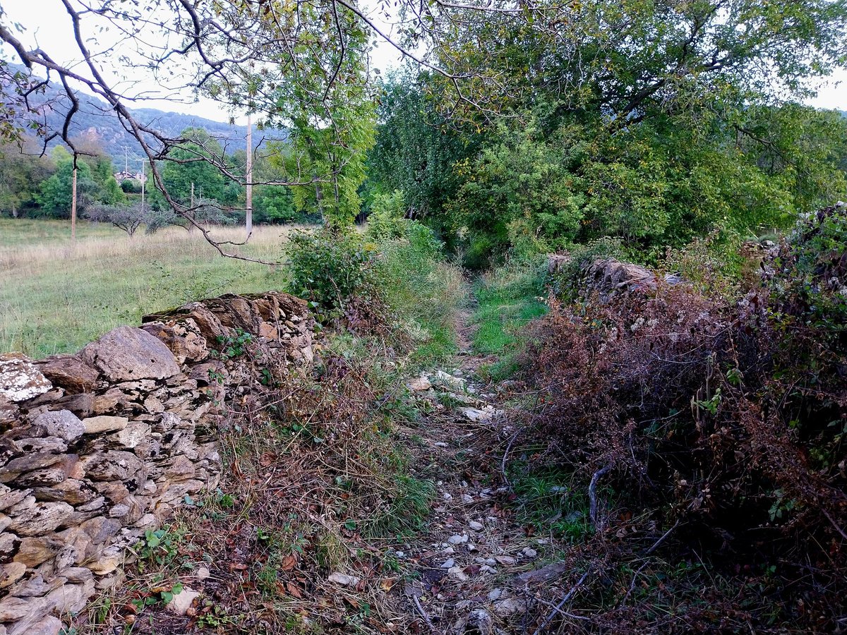 carlosguardia10's tweet photo. Anàlisi geogràfica de la xarxa de camins tradicionals (xarxa veïnal i rural): extensió, estructura, patologies, gestió #camins #recerca #publicfootpaths #rightsofway #Pirineu #AltUrgell #VallsdeValira https://t.co/IjHqrTRFuf
