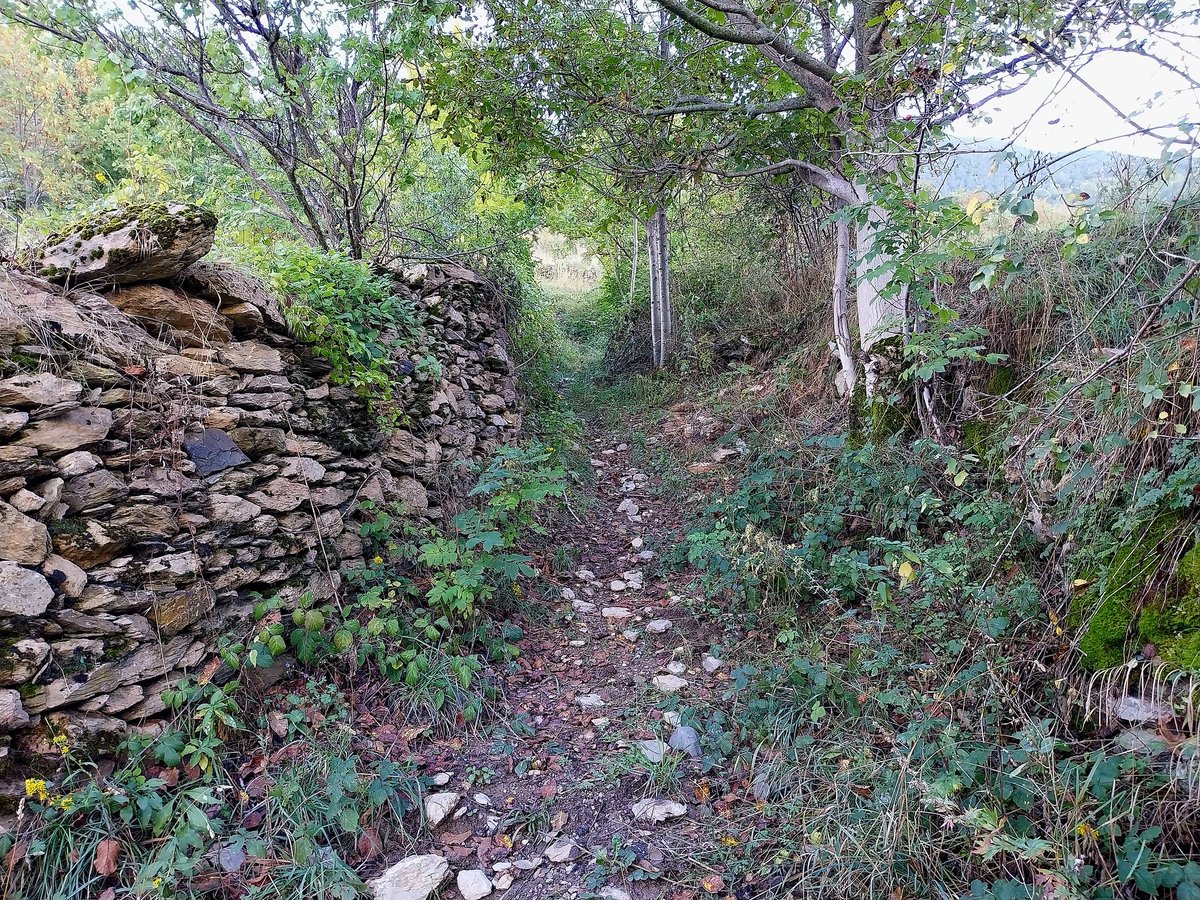 carlosguardia10's tweet photo. Anàlisi geogràfica de la xarxa de camins tradicionals (xarxa veïnal i rural): extensió, estructura, patologies, gestió #camins #recerca #publicfootpaths #rightsofway #Pirineu #AltUrgell #VallsdeValira https://t.co/IjHqrTRFuf