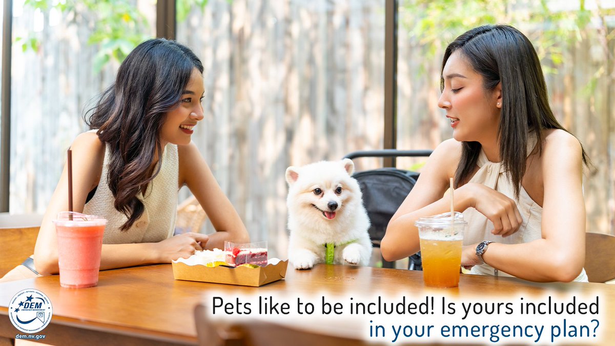 NVEmergencyMgmt's tweet image. 🐾 Are your furry friends part of your emergency plan? Just as you prepare for your family, ensure your pets are not forgotten. Include food, water, and their essentials in your emergency kit. Info @ dem.nv.gov #ResponsibleDogOwnershipMonth #NationalPreparednessMonth