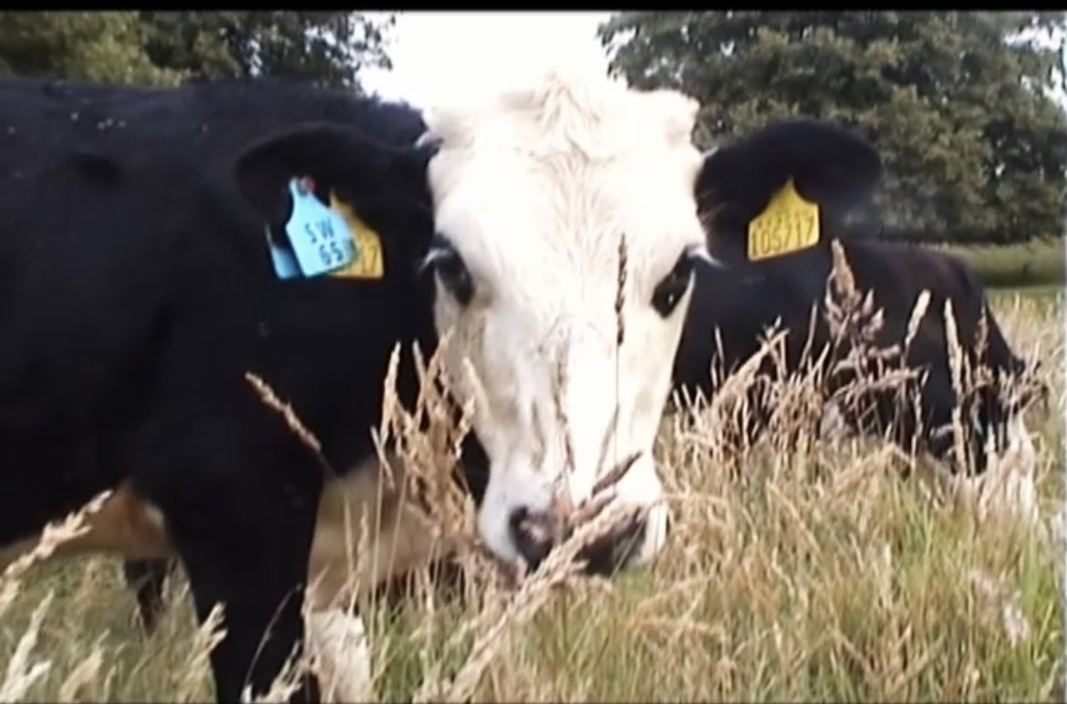 Matthew McCloud tweet media