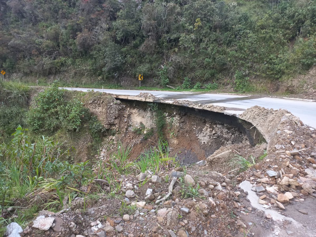 Galo Cardenas Rodas tweet media