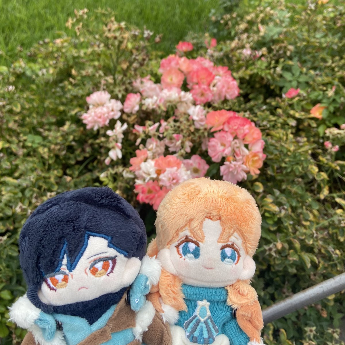 a5v1ii's tweet photo. フェリアネぬいをイタリアまで連れ歩いた1週間だった https://t.co/gumBjsiBDl