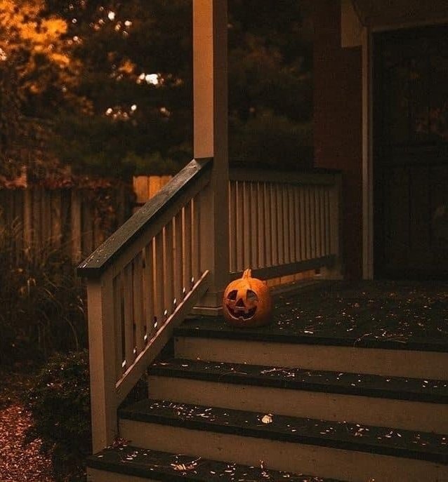 ๐ณ๐๐๐๐๐ ๐๐๐๐๐ช tweet media