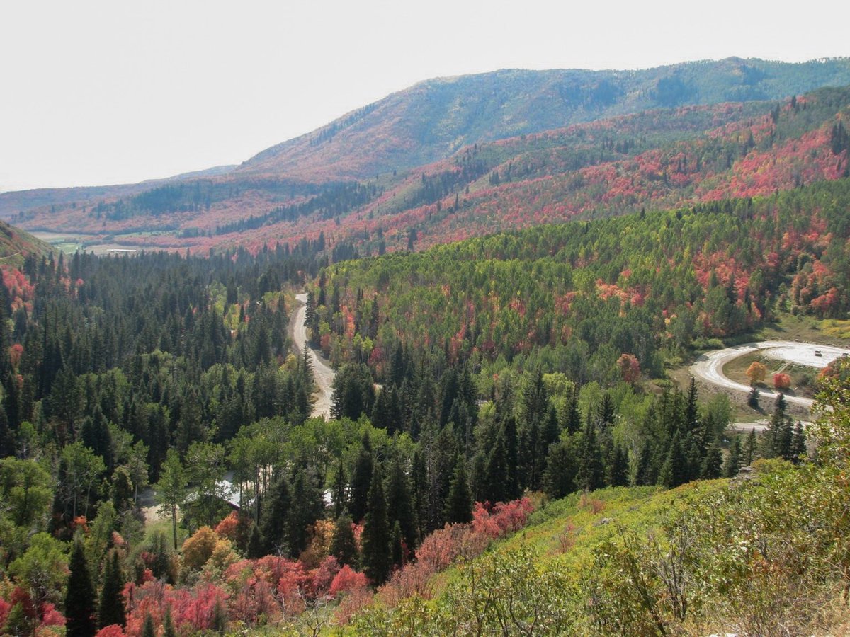 Happy first day of fall! 🍂Time to hit the mountains and soak up those vibrant autumn colors!