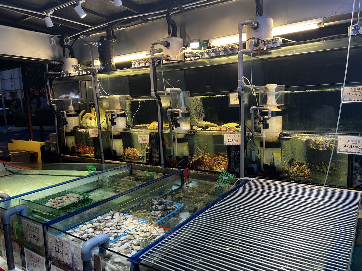 gourmetsauna's tweet photo. 海外グルメ＠クアラルンプール

『Steam Era Seafood』

日本人好み海鮮スチームボート

評価：3.8/5
価格：¥5,000/人
特徴：
• 鍋具材は水槽から選択可
• 蟹海老は高額で要確認
• 全エキスは鍋下オジヤ汁に
• オープン席のみ幹部接待不向き

2024.08

#クアラルンプール
#Steamera
#ぐるさうメモ https://t.co/xCvRiUVhtN