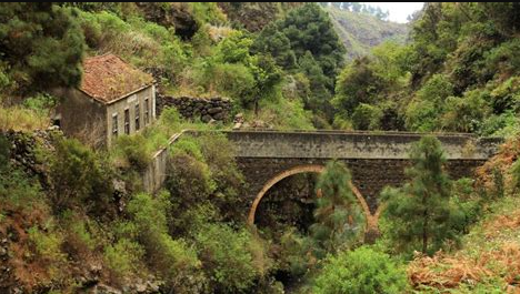 FenixCanarias tweet picture