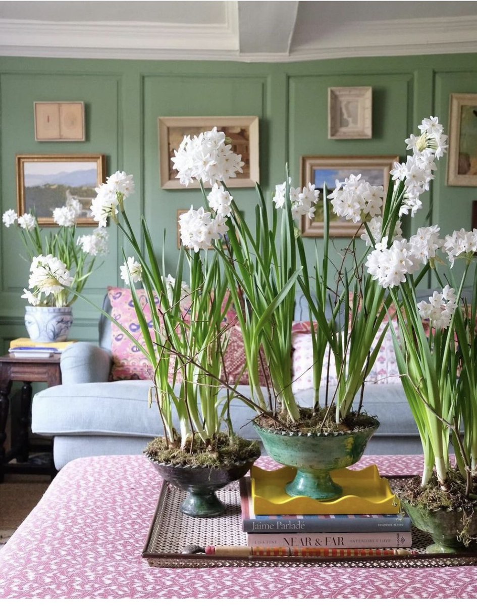 Jenny Eclair tweet media