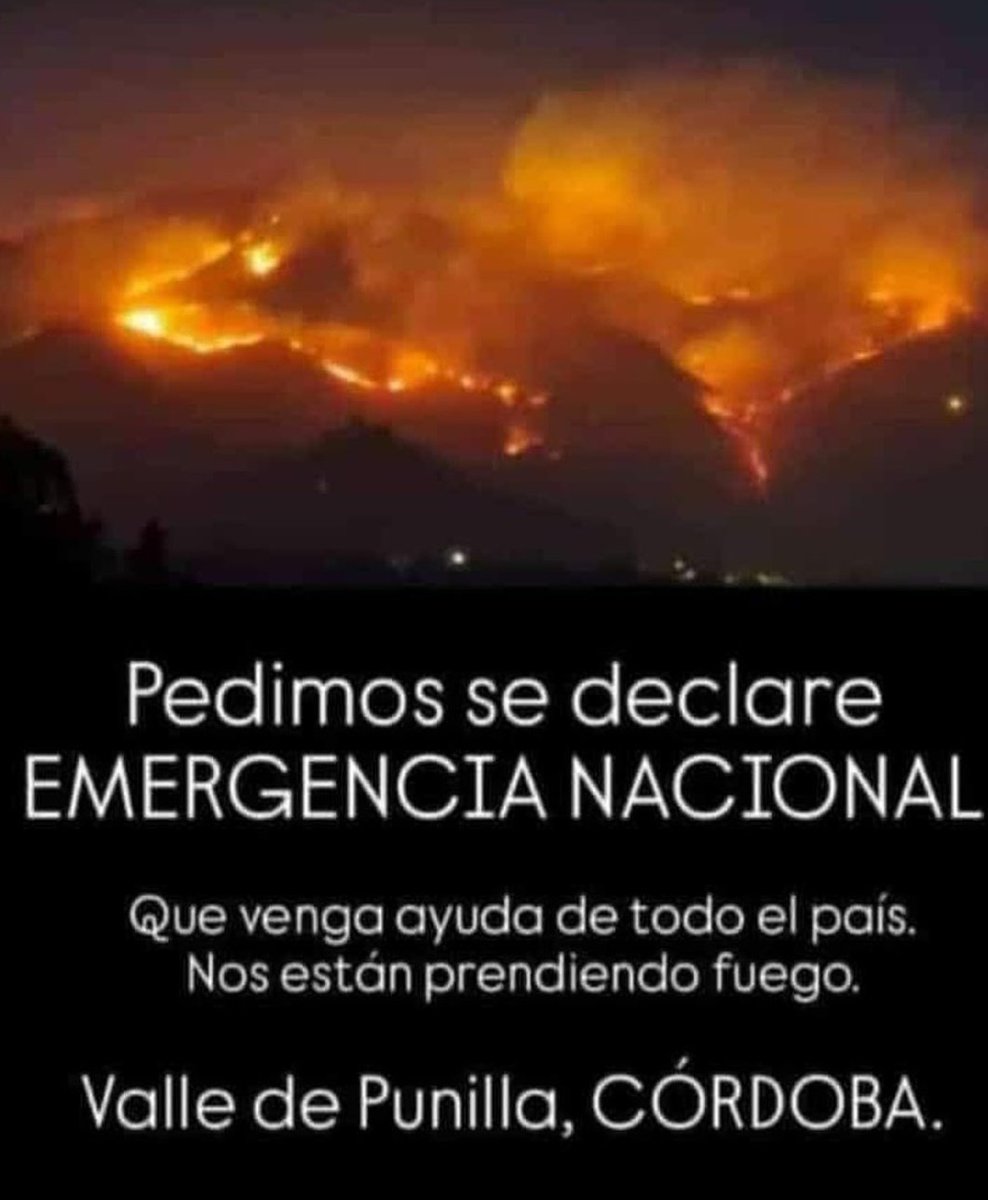 Lau Godoy tweet media