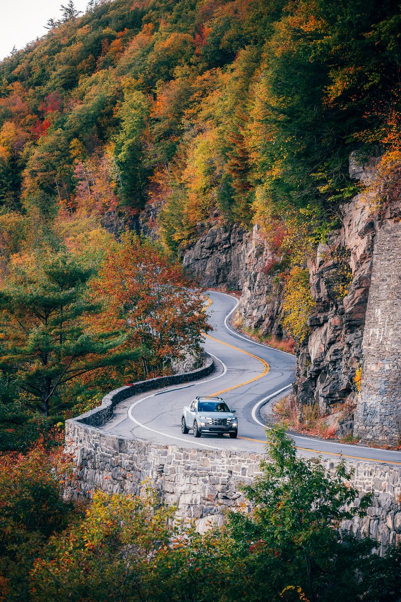 Nicole Zelkowitz tweet media