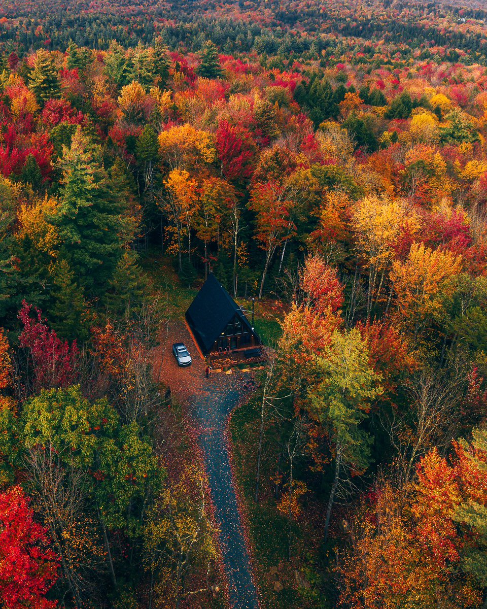 Nicole Zelkowitz tweet media