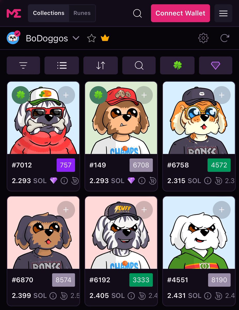 These cute dogs on the Solana blockchain will inevitably cost over $5000 per each <a href="/BoDoggosNFT/">The Bitcoin Show (holding BoDoggosNFT Handle)</a> and there’s NOTHING you can do about it except embracing this. 

<a href="/chooserich/">Nick O’Neill</a>, <a href="/EasyEatsBodega/">Easy</a> and <a href="/piovincenzo_/">Pio</a> are the best content creators who will only continue dominating the