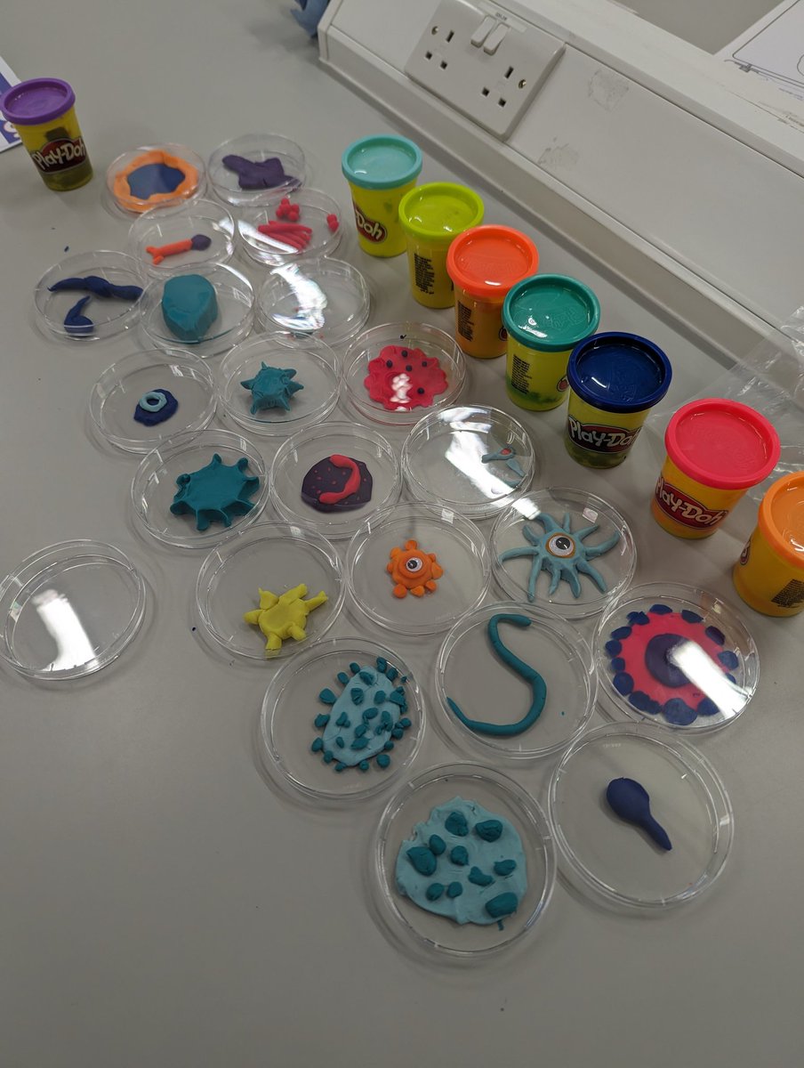 More public engagement fun at the Explorathon Discovery Day! Got some great bacteriophages from some budding young Virologists