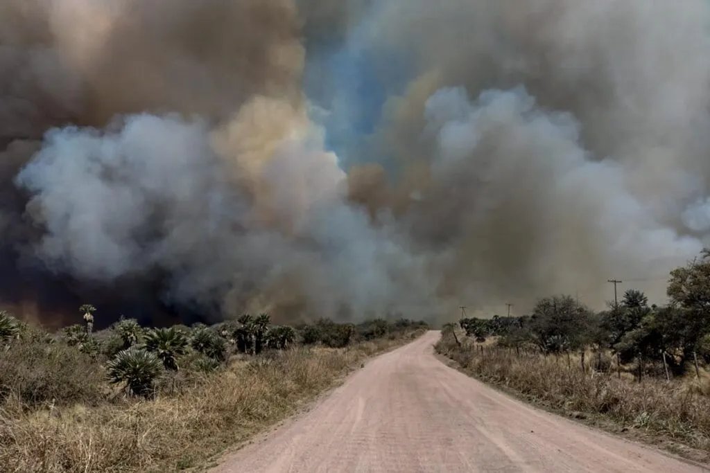 Hectáreas de bosque nativo destruído, animales calcinados muertos, casas quemadas, gente evacuada, aire irrespirable.

Dónde?
En ARGENTINA
Provincia de Córdoba.
Valle de Punilla (Capilla del Monte, Los Cocos) Calamuchita (La Cumbrecita, Villa Verna) 
Tras las Sierras de Córdoba.