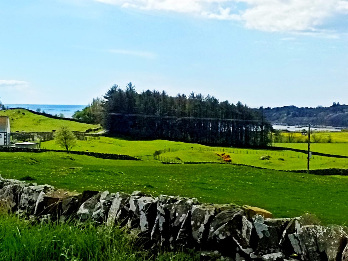sandieatwork's tweet photo. View towards Brighouse Bay, Dumfries and Galloway, Scotland 
#scotlandscenery
#dumfriesandgalloway
#brighousebay
#paintingwithpastels https://t.co/smWJeGcWjl