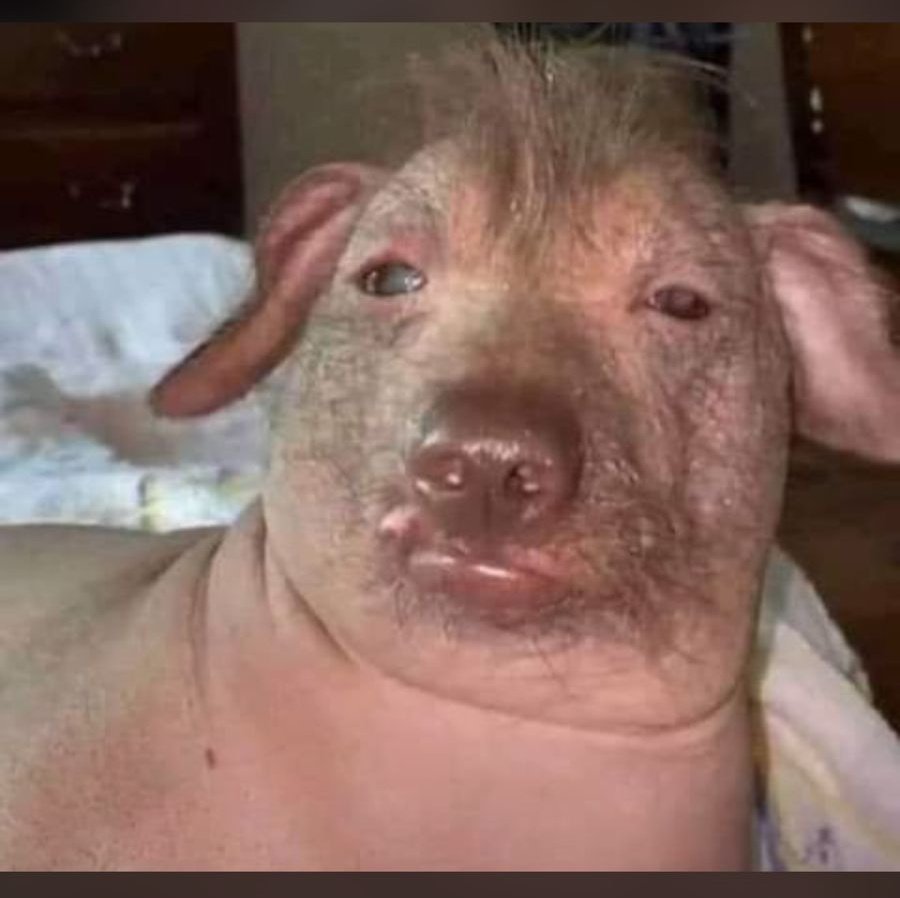 FloydMadiba's tweet photo. @ChrisExcel102 Odds🤦‍♂️🙆😂 https://t.co/BKcloQEZpS