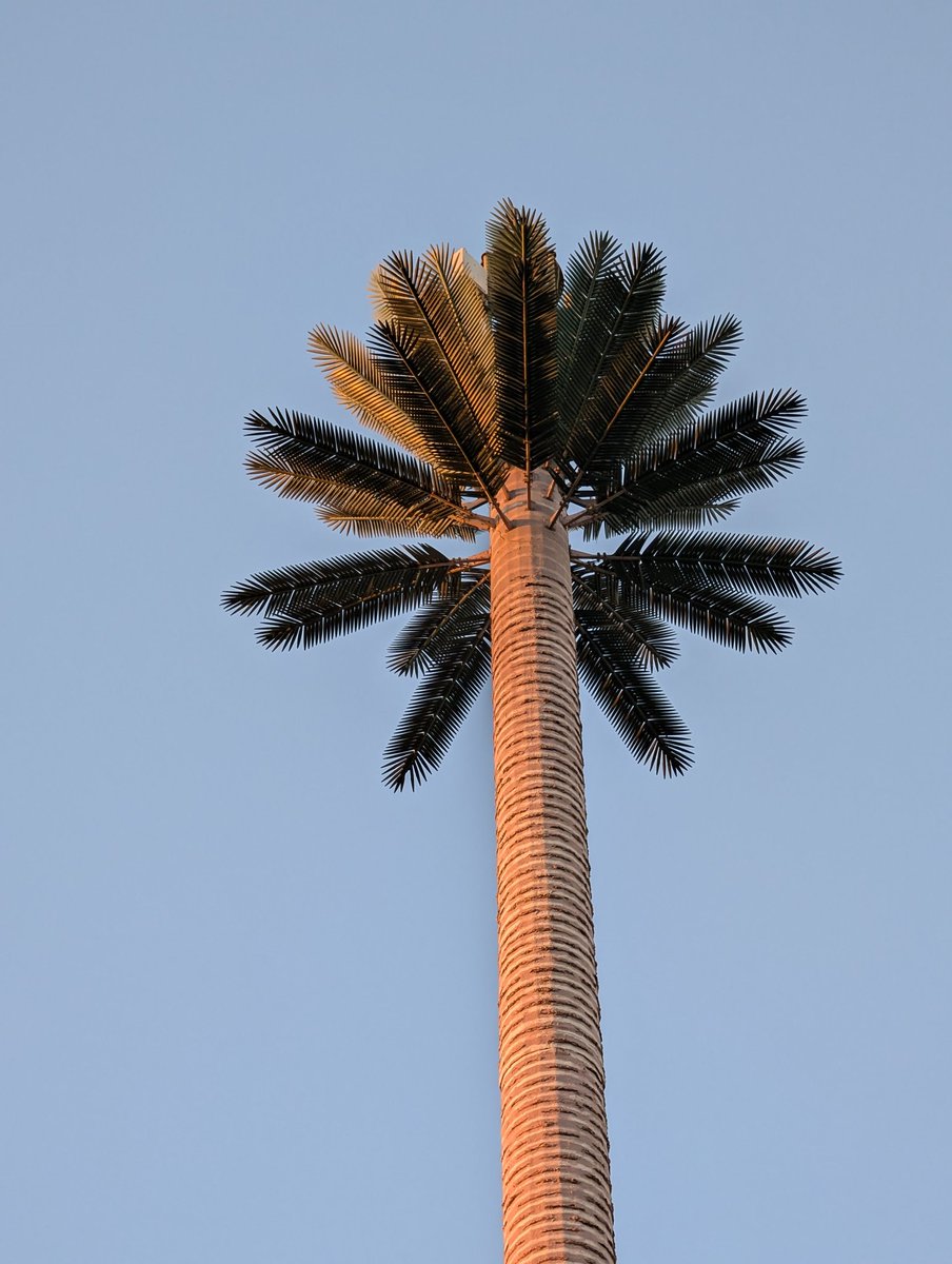 This is how I like my technology: invisible! 

This is how to build a mobile tower <a href="/Telstra/">Telstra</a>  &amp; <a href="/Optus/">Optus</a>! 

#telecommunications #mobiletowers #mobile #mobiletower
