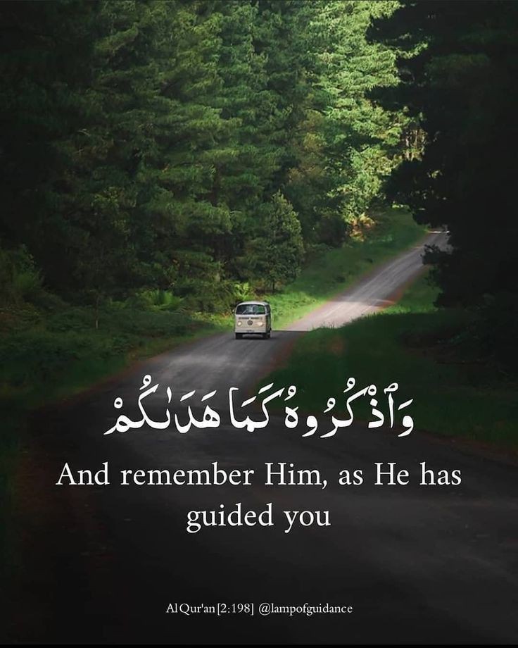 Al_Quran_011's tweet photo. reposts, it will help you🤍🕊️ https://t.co/IGcDv57c1a