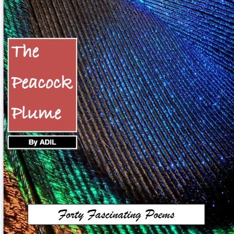 THE PEACOCK PLUME: A digital display of 40 of my early poems, first published around my 40th birthday, when the love planet Venus returns to her birth position for the fifth time!
online.flippingbook.com/view/411821605/