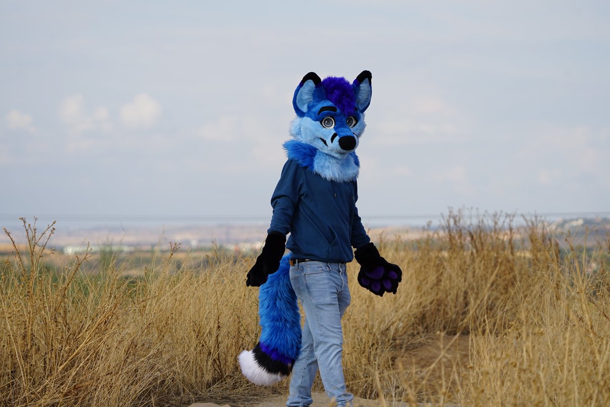 Felix The Fox tweet media