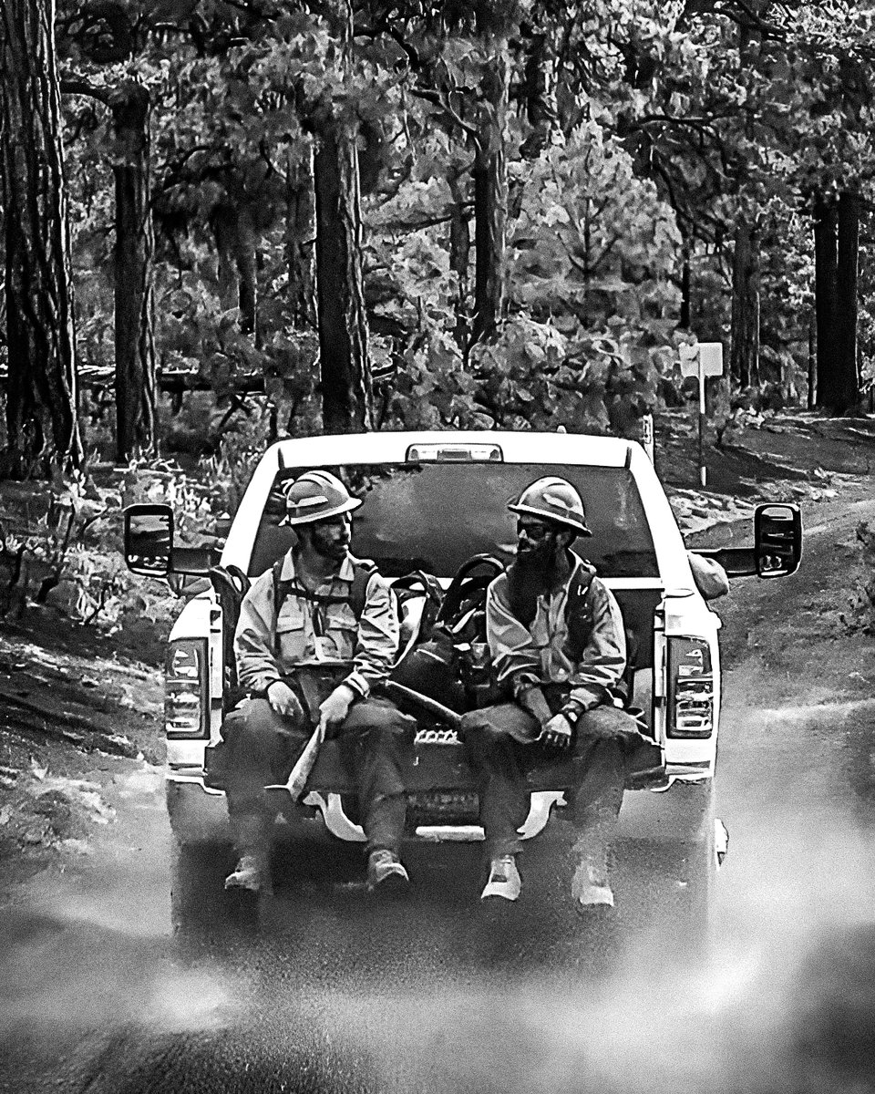 Grayback Forestry tweet media