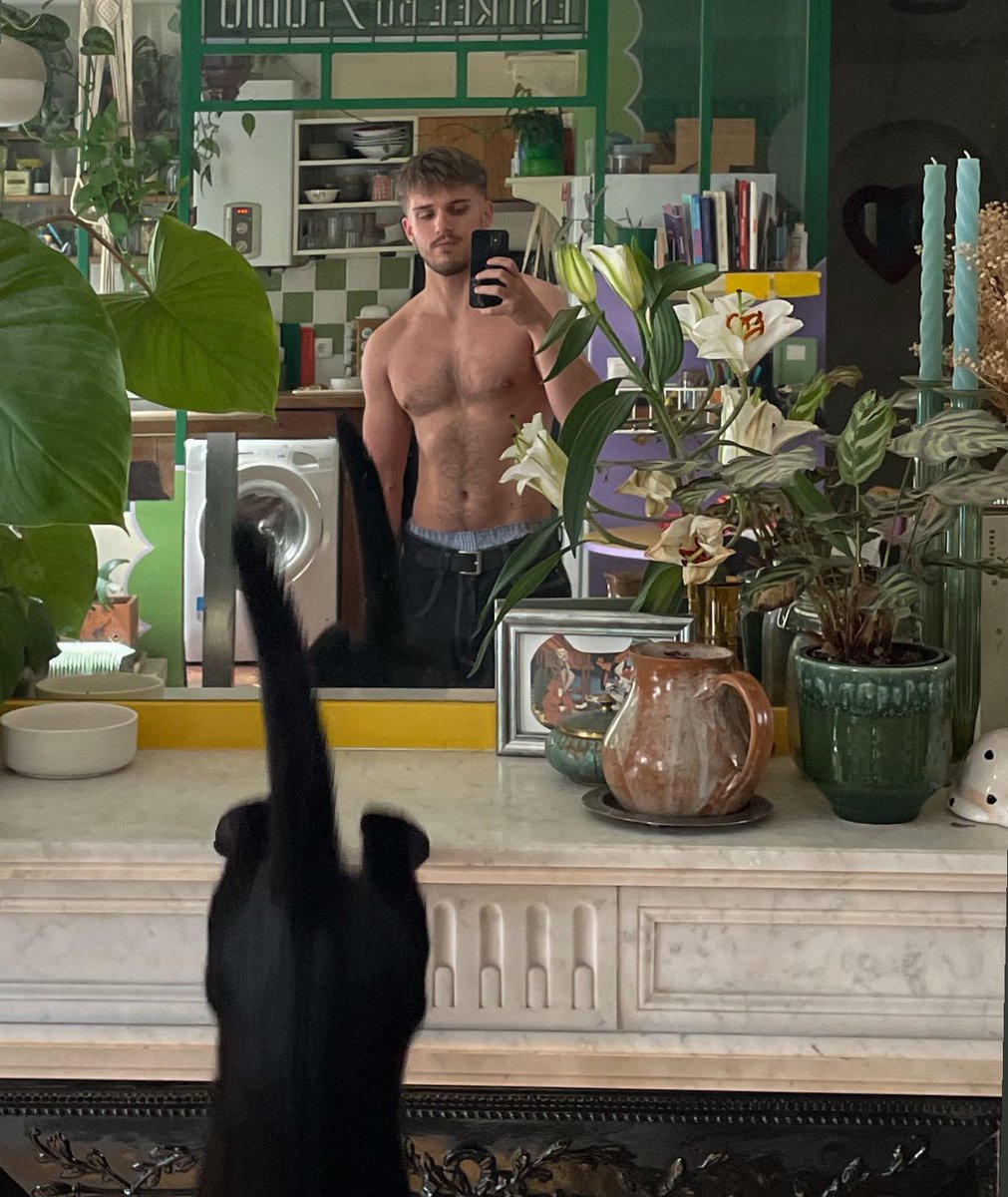 thiastous tweet media