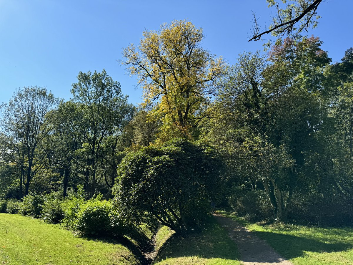 De herfst in het arboretum PoortBulten is begonnen #schatkamervantwente #visitdeluttelosser