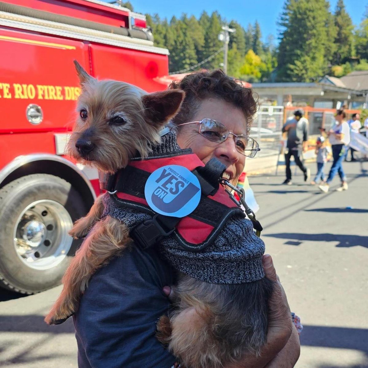 Yesterday, we marched in the Pride Parade in Guerneville and had impactful conversations about voting Yes on Measure J. LOVE is unstoppable. A better world is possible. ✊🌈🩵

#YesOnJ #StopFactoryFarming #ProtectAnimals #SonomaCounty