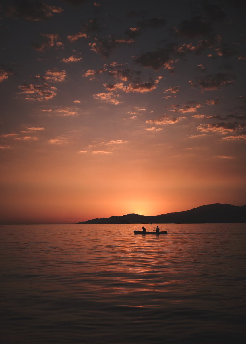 David FitzGerald tweet media