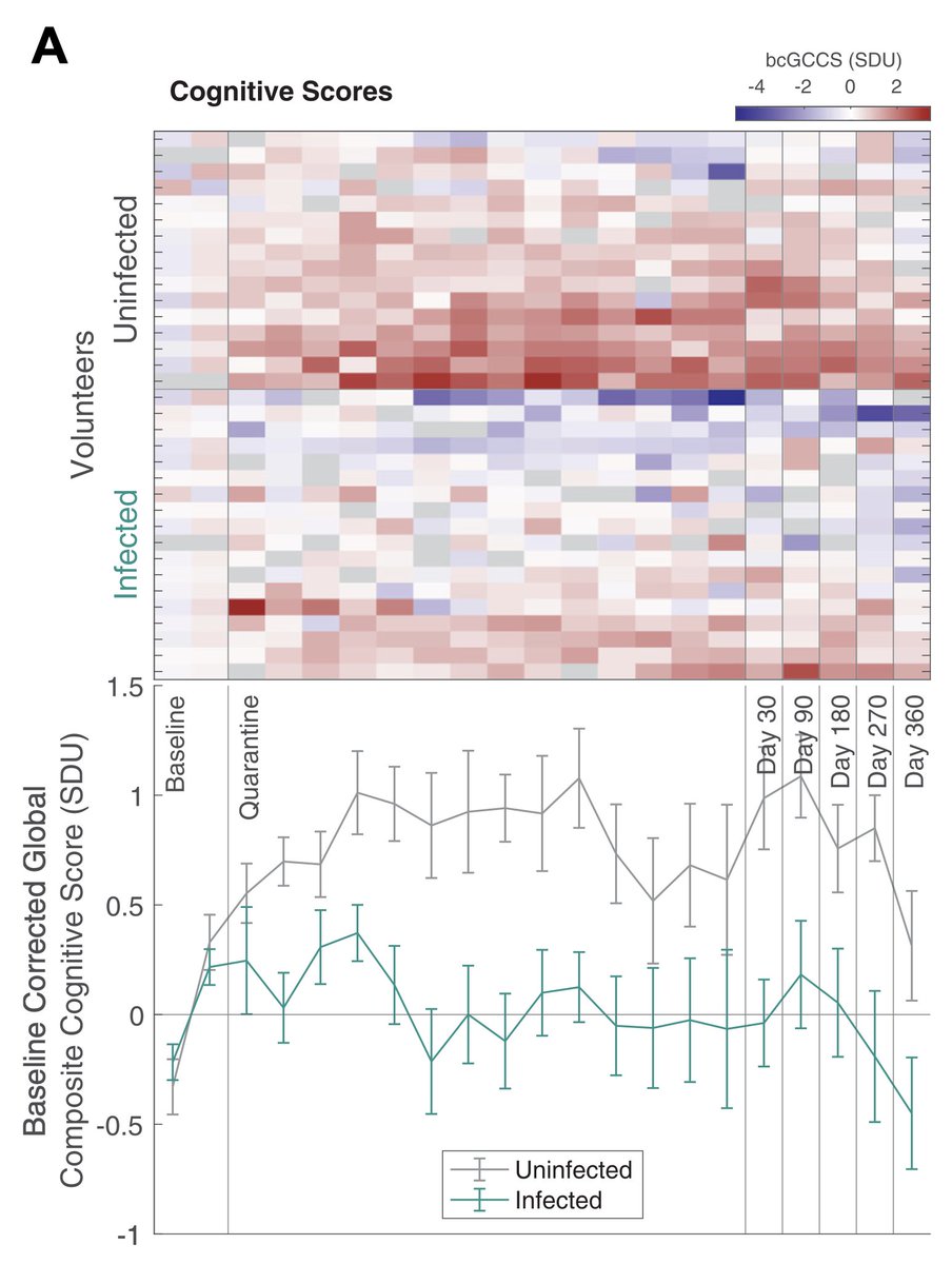 Eric Topol (@erictopol) on Twitter photo With mild infection in healthy participants who received a #SARSCoV2 challenge there was evidence of persistent cognitive and memory changes at least one year after Covid, compared with uninfected controls
thelancet.com/journals/eclin… <a href="/ProfHampshire/">Adam Hampshire</a> <a href="/eClinicalMed/">eClinicalMedicine – The Lancet Discovery Science</a> With mild infection in healthy participants who received a #SARSCoV2 challenge there was evidence of persistent cognitive and memory changes at least one year after Covid, compared with uninfected controls
thelancet.com/journals/eclin… <a href="/ProfHampshire/">Adam Hampshire</a> <a href="/eClinicalMed/">eClinicalMedicine – The Lancet Discovery Science</a>