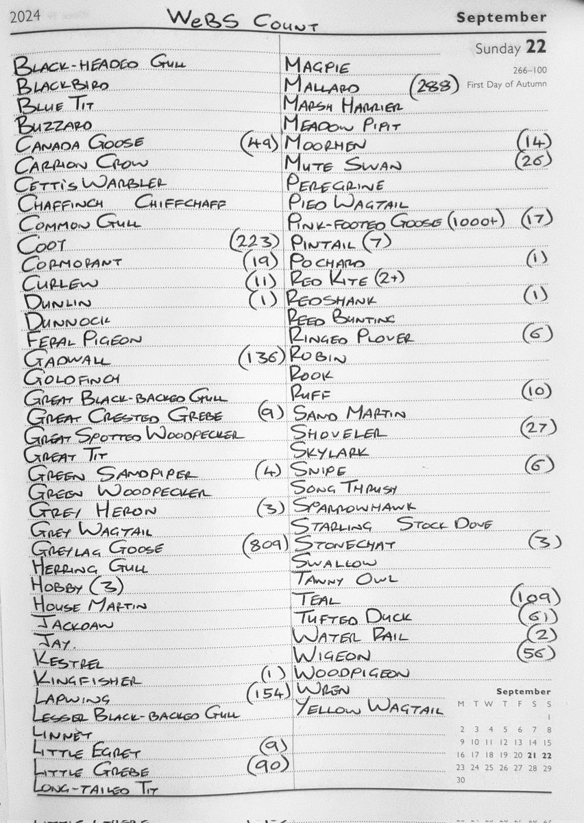 Sightings:22nd September 2024. <a href="/NorthCaveWet/">North Cave Wetlands</a> 
Inc. Web Count Totals.