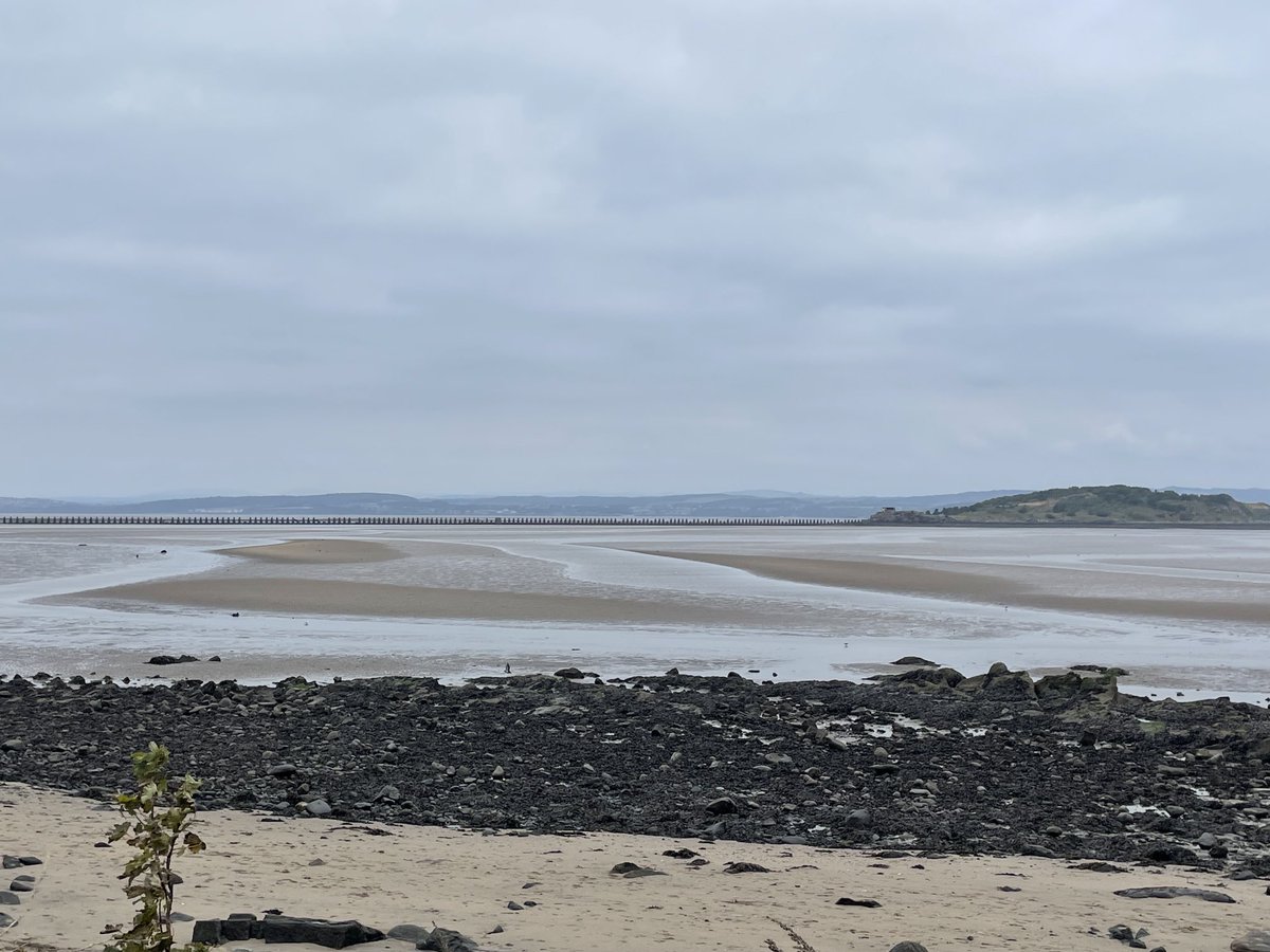 Allison Hewitt tweet media