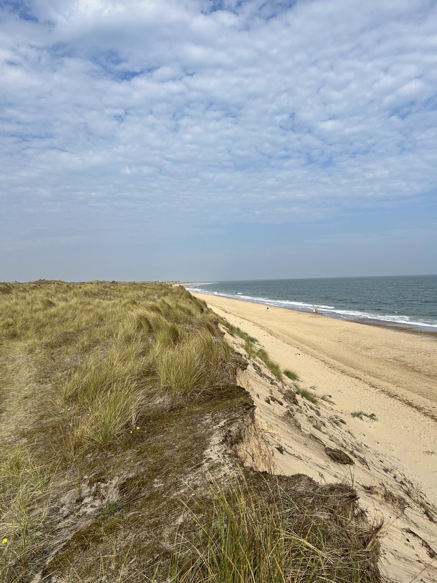 Our local beach this morning! Why go abroad?