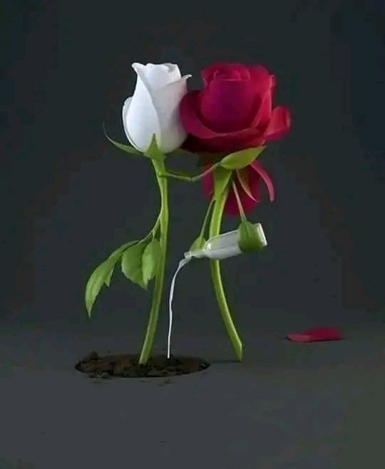 من يغمرك باهتمامه  اجعل له وطناً في قلبك لا يليق إلا به قِيل لأحدهم كيـف تعـرف من يحبـك ؟قـال الذي . اذا اقتربت منه خطوه اقترب مني خطوتين 
 واذا ابتعدت عنه غاضباً ... دنى مني مسترضياً .
 واذا غبت عنه رغماً عني .. بحث عني حتى وجدني .
 اذا اخطأت عاتبني ولم يفارقني …
 💕💕