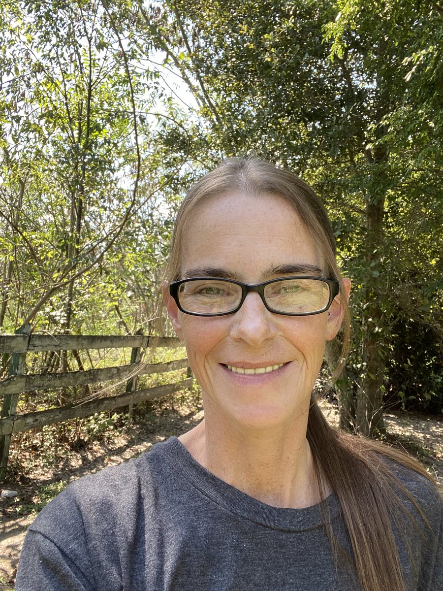 Kp39039386's tweet image. This is the only spider left in this tree, it’s the baby I posted a few weeks ago. He’s been missing those legs since I found him but seems fine.
I know the seasons are changing when they start disappearing🍂🕷️
But I’ll see them next year😁

#HappyFall