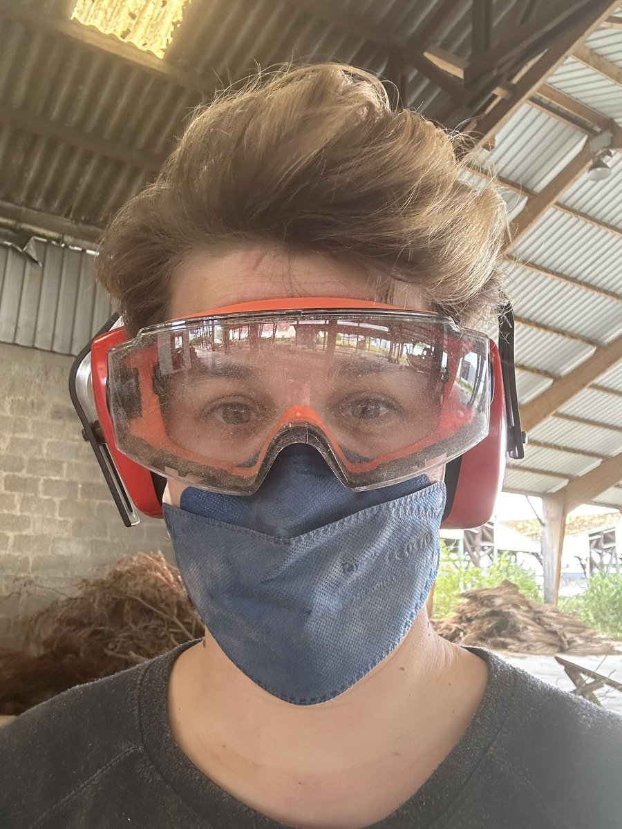 Scherzando 🎶 tweet media