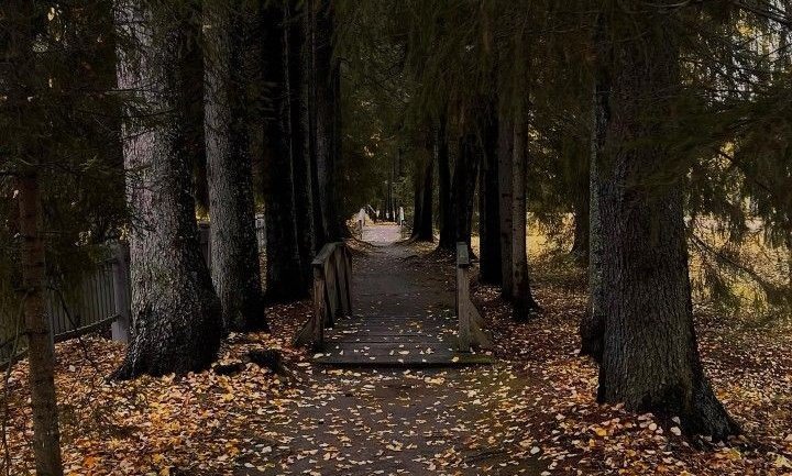 AcademiaDreams's tweet photo. it's officially autumn 🍂🌰🦇 https://t.co/EDRIe7slzr