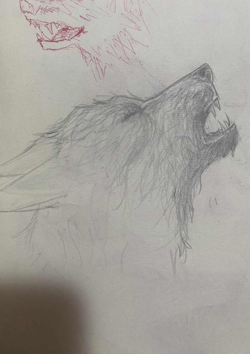 ion_awr's tweet photo. werewolf-shaped cloud fanart https://t.co/7dQ3pinvQT