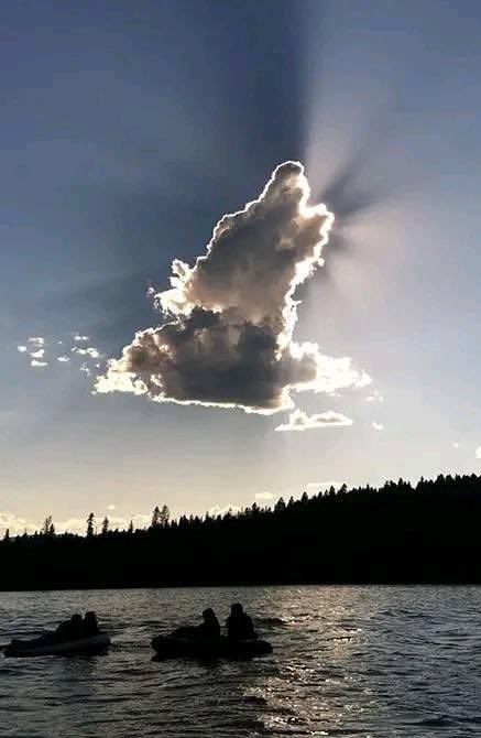 ion_awr's tweet photo. werewolf-shaped cloud fanart https://t.co/7dQ3pinvQT