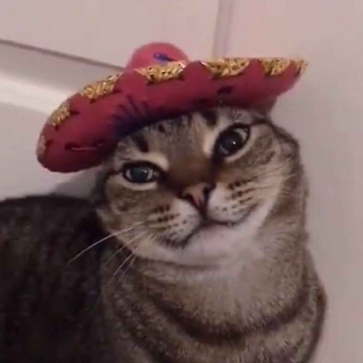🖤🐈‍⬛ Lord Byron Ochoa 🐈‍⬛🖤 tweet media