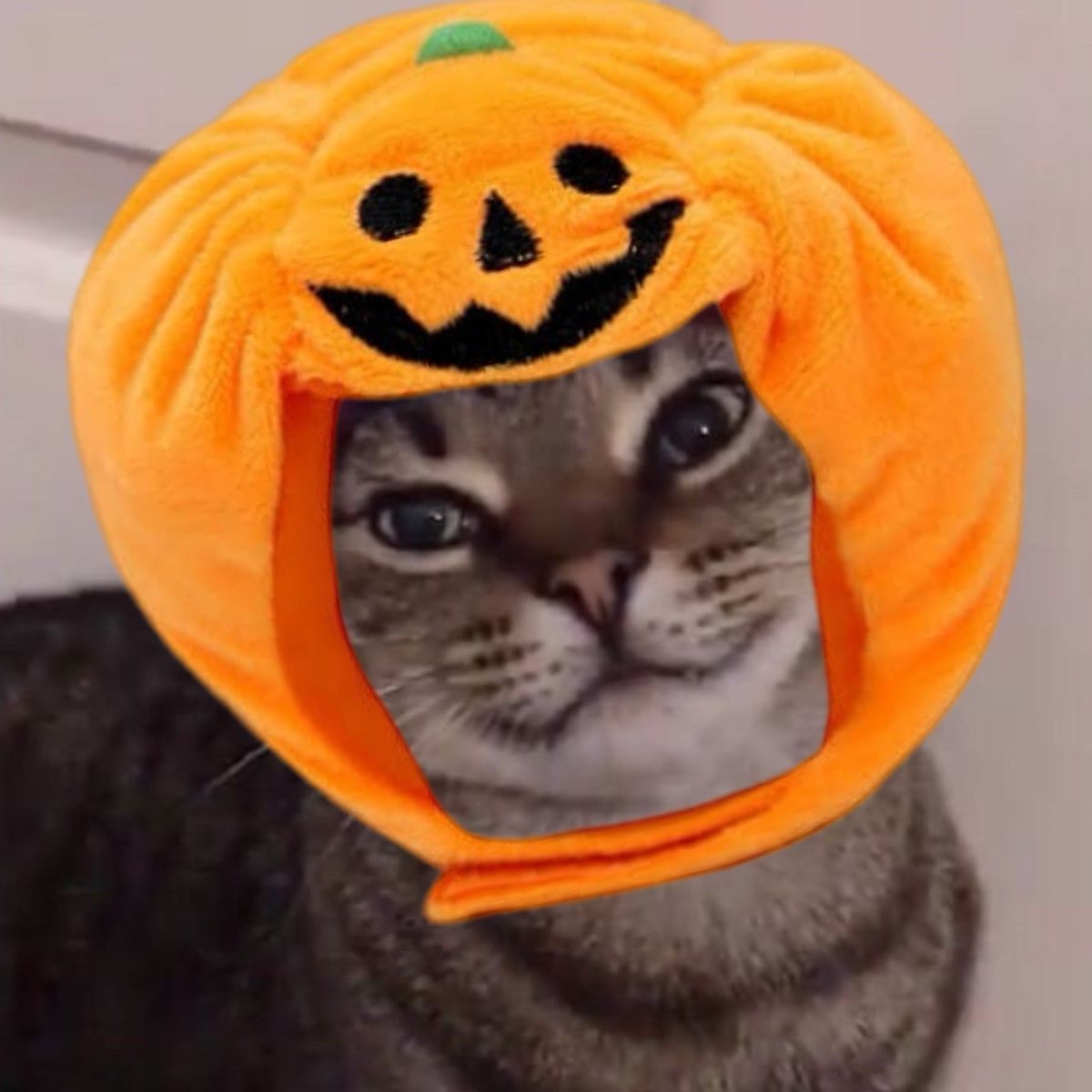 🖤🐈‍⬛ Lord Byron Ochoa 🐈‍⬛🖤 tweet media