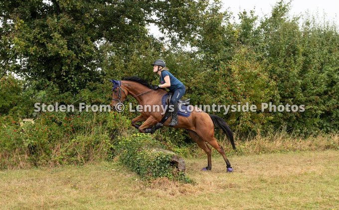 I just ordered this print from My ride today..  Look at Gracey go! 🐴 https://t.co/rhYPr3n6Wh<a href="/tag/wholesome"class="tags"><span>#wholesome</span></a>