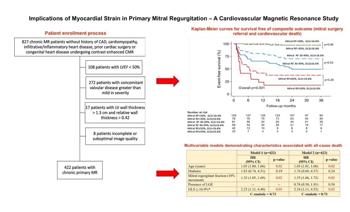 EHJCVI Editor-in-Chief (@ehjcvieic) on Twitter photo 🔥🔥 Hot off the press 🔥🔥
#Strain in primary #MR with #WhyCMR
➡️ GLS may serve as a marker of cardiac dysfunction in primary MR patients with preserved #LVEF allowing identification of patients likely to decompensate during observation ➡️ academic.oup.com/ehjcimaging/ad… <a href="/ESC_Journals/">European Society of Cardiology Journals</a> 🔥🔥 Hot off the press 🔥🔥
#Strain in primary #MR with #WhyCMR
➡️ GLS may serve as a marker of cardiac dysfunction in primary MR patients with preserved #LVEF allowing identification of patients likely to decompensate during observation ➡️ academic.oup.com/ehjcimaging/ad… <a href="/ESC_Journals/">European Society of Cardiology Journals</a>