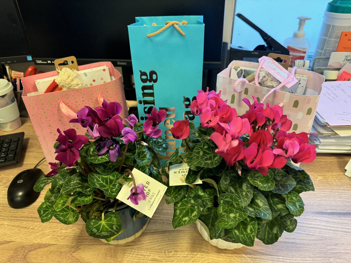 Christina (@clined_acutemed) on Twitter photo When your newbies surprise you with the most heartwarming and beautiful thank you 🩷 🥹 The role of an educator is by far the hardest job I’ve done to date, but feedback like this makes it so worth it. Come join us in <a href="/UHP_UEC/">Urgent Emergency Care UHP</a> we have vacancies 🏥 When your newbies surprise you with the most heartwarming and beautiful thank you 🩷 🥹 The role of an educator is by far the hardest job I’ve done to date, but feedback like this makes it so worth it. Come join us in <a href="/UHP_UEC/">Urgent Emergency Care UHP</a> we have vacancies 🏥