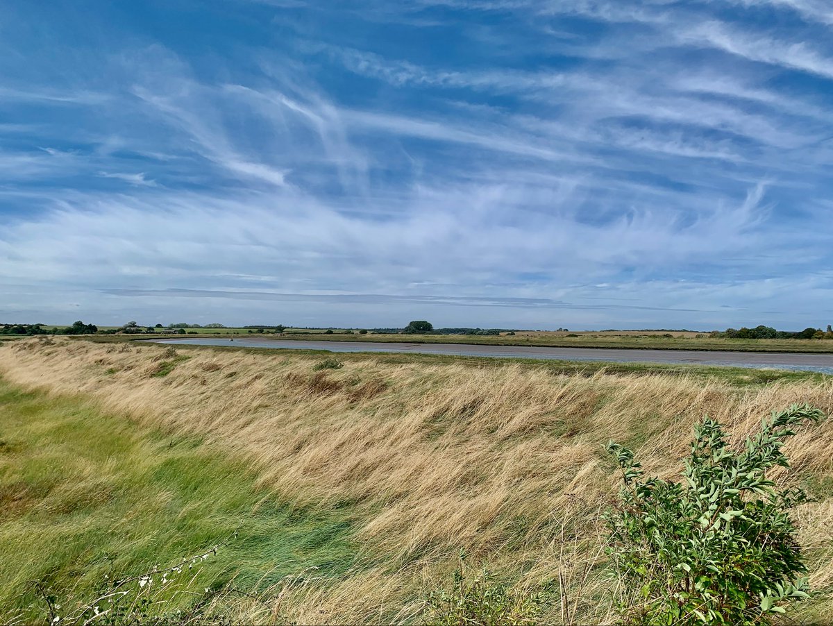 James King (@jamesking7341) on Twitter photo Good August visit to Suffolk with 1cy Red-necked Phalarope found at Minsmere on 12th + Ad. Little Stint, 12 Ad. Spotted Redshank, 12 Little Gull & 4 Spoonbill. Glossy Ibis at North Warren, Curlew Sandpiper at Aldeburgh & 3 Dartford Warbler on Dunwich Heath on 13th <a href="/SuffolkBirdGrp/">Suffolk Bird Group</a> Good August visit to Suffolk with 1cy Red-necked Phalarope found at Minsmere on 12th + Ad. Little Stint, 12 Ad. Spotted Redshank, 12 Little Gull & 4 Spoonbill. Glossy Ibis at North Warren, Curlew Sandpiper at Aldeburgh & 3 Dartford Warbler on Dunwich Heath on 13th <a href="/SuffolkBirdGrp/">Suffolk Bird Group</a>
