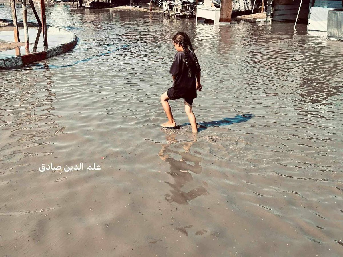 TIMES OF GAZA tweet media