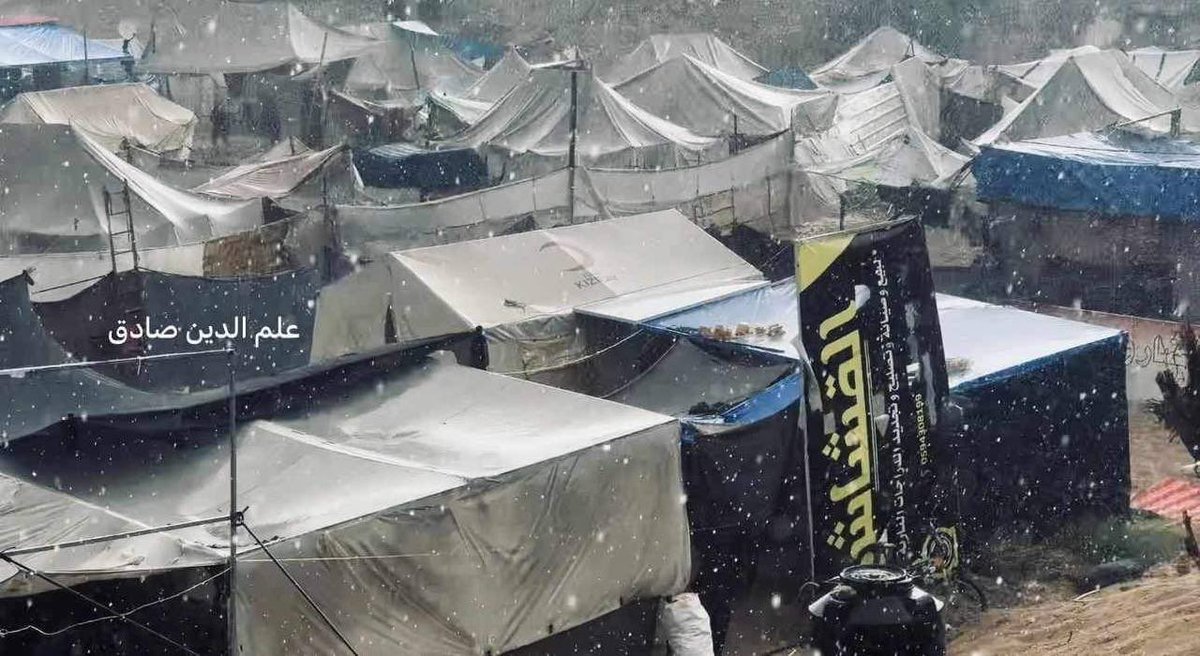 TIMES OF GAZA tweet media