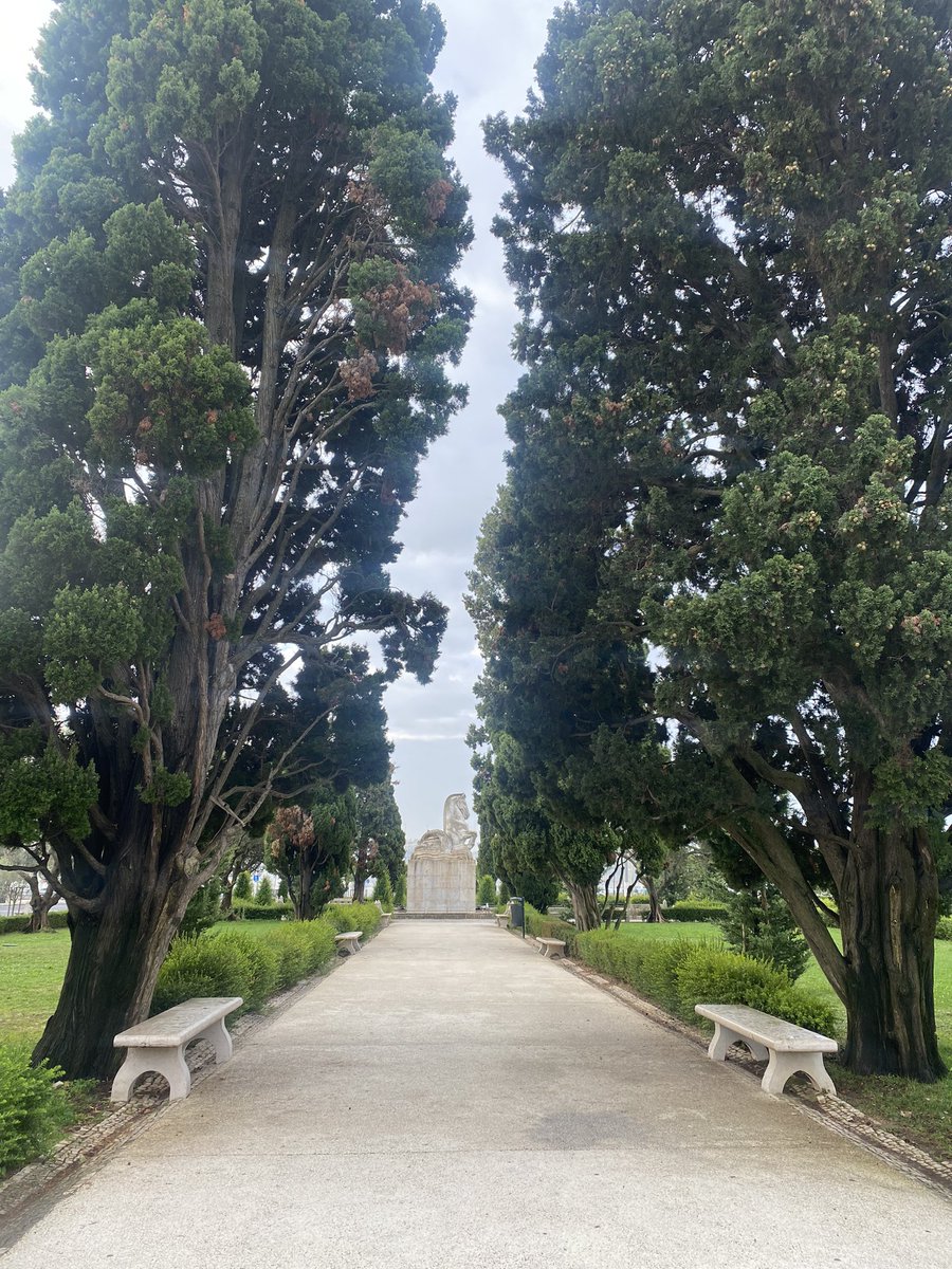 Snuck in a quick trip to the beautiful city of Lisbon before ERAS apps are due. Thank you <a href="/cirsesociety/">CIRSE</a> for the poster award and enormous honor!!