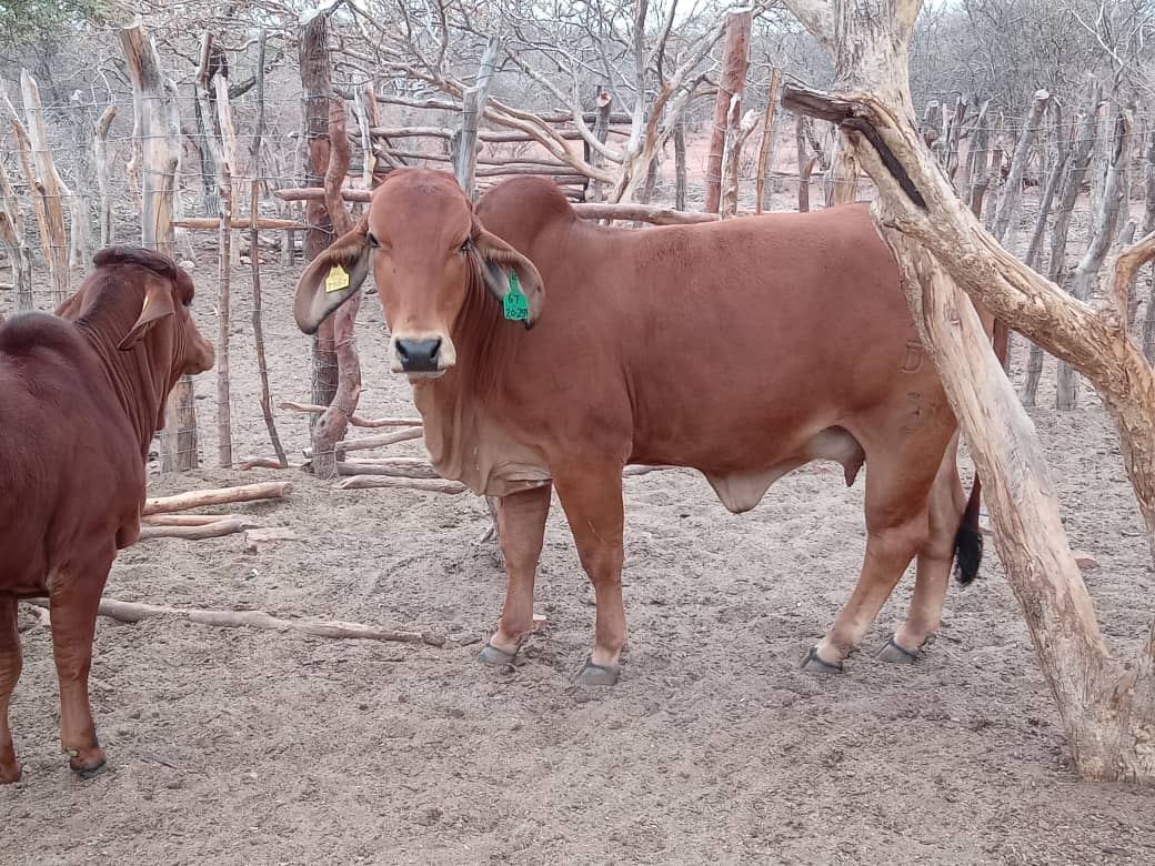Red is the colour ♥️♥️