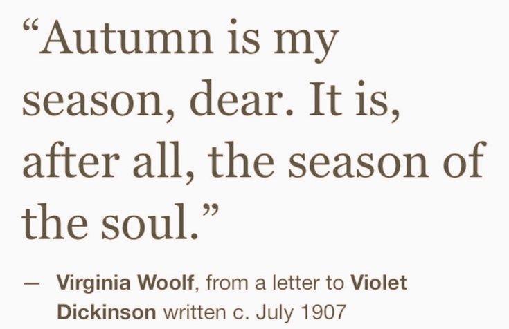 AcademiaDreams's tweet photo. the season of the soul. https://t.co/yq4d6pIbw2